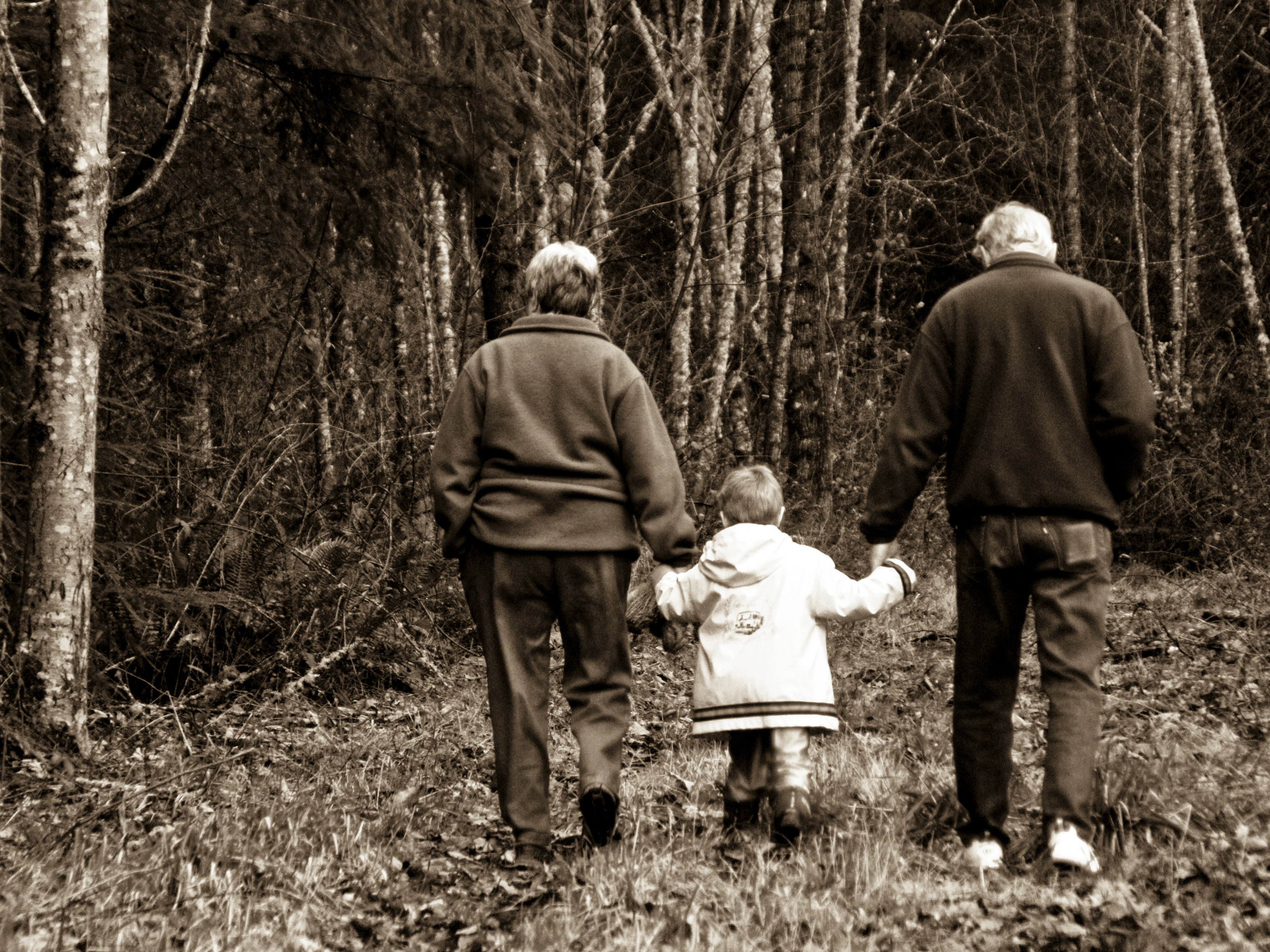 Do grandparents have a legal right to see their grandchildren?